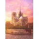 Puzzle – Notre Dame 200 ans plus tard (1000 pièces) de la marque Débacle jeux (puz001)